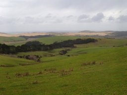 Nouvelle Zélande 132