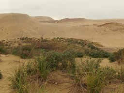 Nouvelle Zélande 135