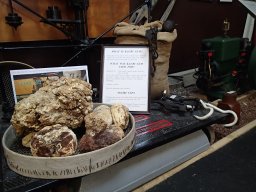 Nouvelle Zélande 142