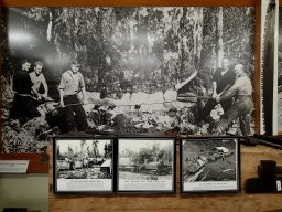 Nouvelle Zélande 144