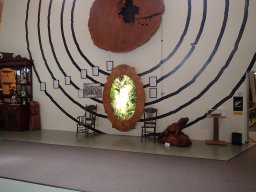 Nouvelle Zélande 146