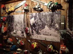 Nouvelle Zélande 150