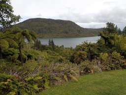 Nouvelle Zélande 160