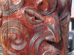 Nouvelle Zélande 185