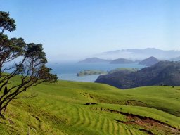 Nouvelle Zélande 202