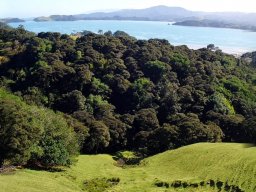 Nouvelle Zélande 203