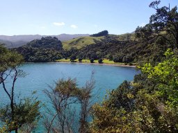 Nouvelle Zélande 206